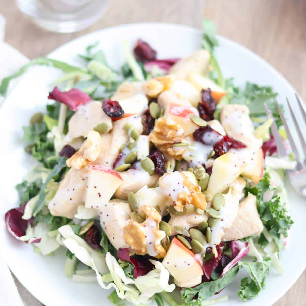 Crunchy Kale Chicken Salad Recipe with Cranberries - Recipes From Leftovers