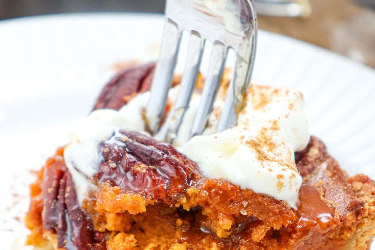 Pumpkin Pecan Cheesecake Recipe-image