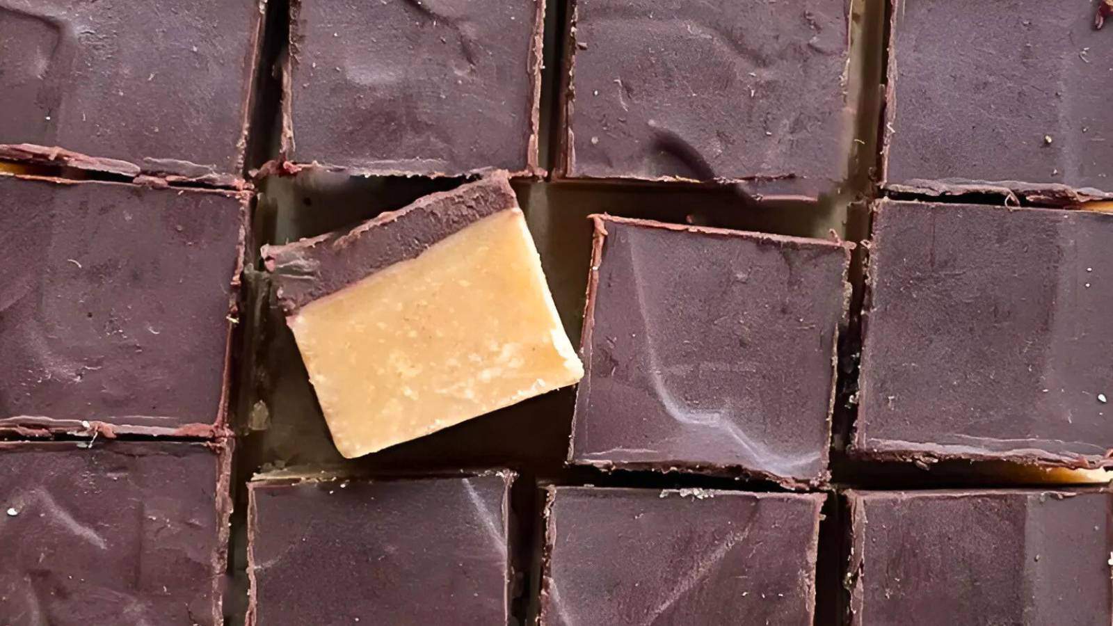 Close-up of chocolate squares, with one piece turned to show a layered brown and tan filling.