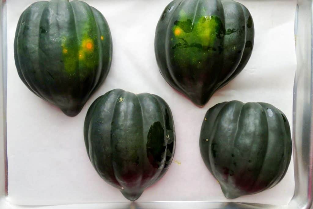 Four dark green acorn squash on a white surface.