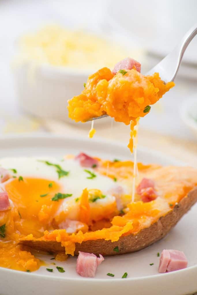 A fork holds a bite of baked sweet potato topped with melted cheese, a runny egg, diced ham, and chopped herbs, with the rest of the stuffed sweet potato on a white plate in the background.